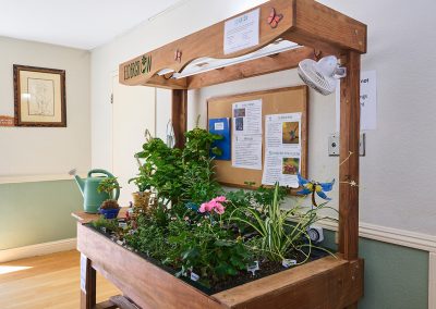 A big growing plant at Courtyard Healthcare Center